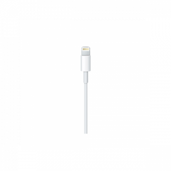 Apple Lightning to USB-C Cable (2m)