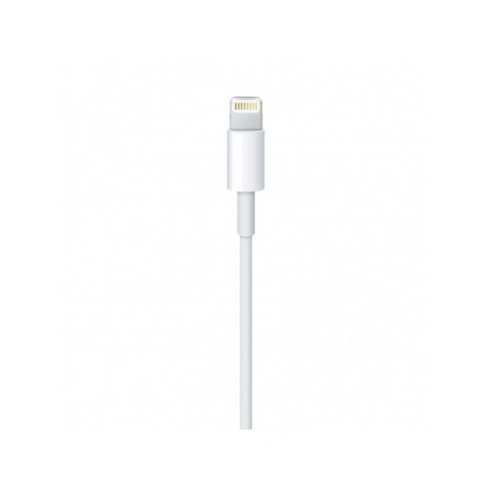 APPLE Lightning to USB cable (1 m)