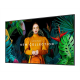 SAMSUNG 43" QMC Crystal UHD 4K Signage kijelző