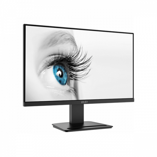MSI Monitor Business PRO MP2412 23,8" FHD, 1920x1080, IPS, 100Hz, 4000:1 CR, 300cd/m2, 1ms, HDMI,  DP, Black