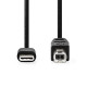Nedis CCGB60650BK20 USB-C dugó - USB- B dugó (USB C - USB B) kábel, 480 Mbps, 2m